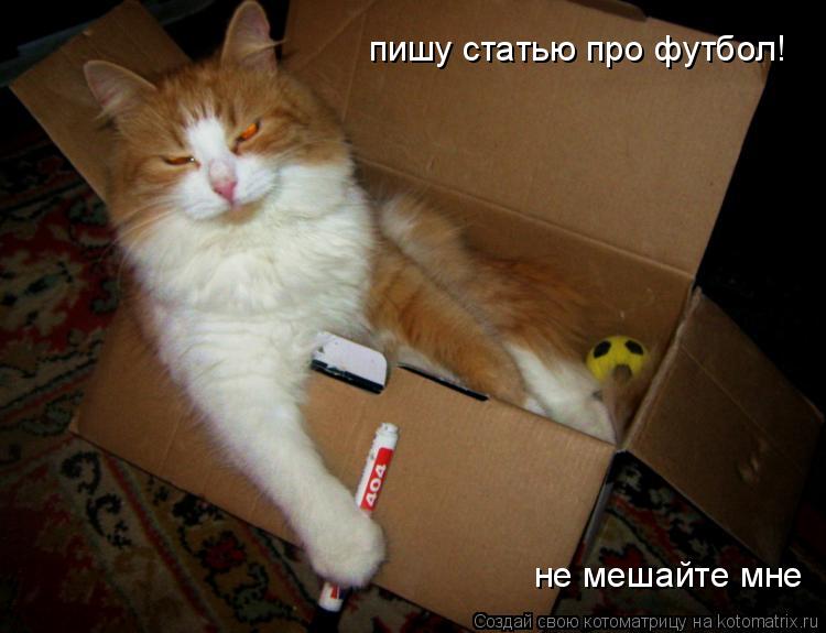 Котоматрица: пишу статью про футбол! не мешайте мне
