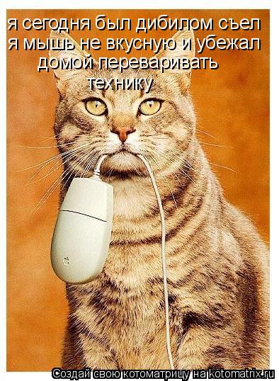 Котоматрица: я сегодня был дибилом съел я мышь не вкусную и убежал  домой переваривать  технику