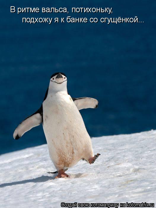 Котоматрица: В ритме вальса, потихоньку, подхожу я к банке со сгущёнкой...