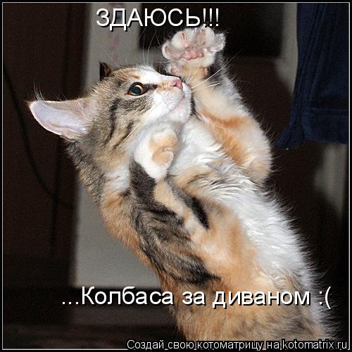 Котоматрица: ЗДАЮСЬ!!! ...Колбаса за диваном :(