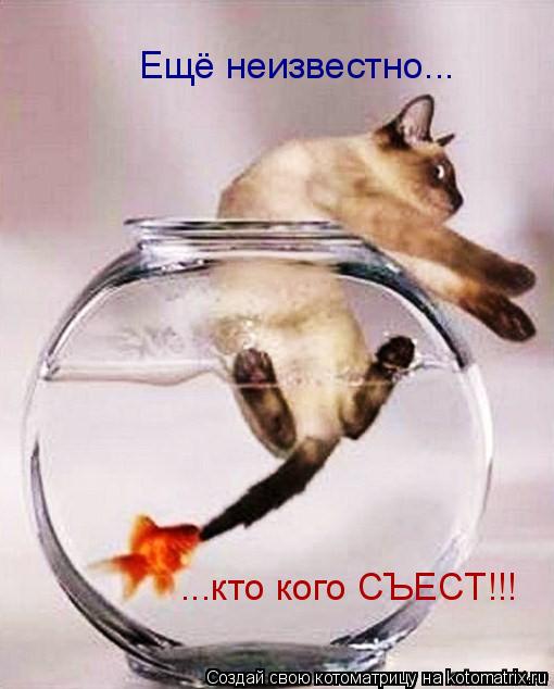 Котоматрица: Ещё неизвестно... ...кто кого СЪЕСТ!!!