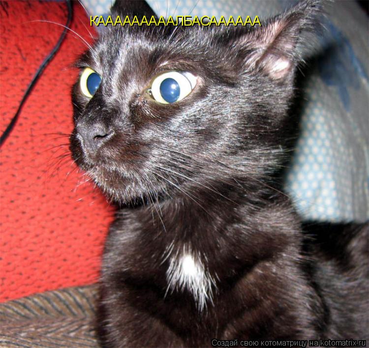 Котоматрица: КАААААААААЛБАСАААААА