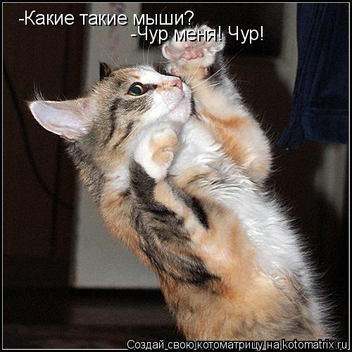 Котоматрица: -Какие такие мыши?  -Чур меня! Чур!