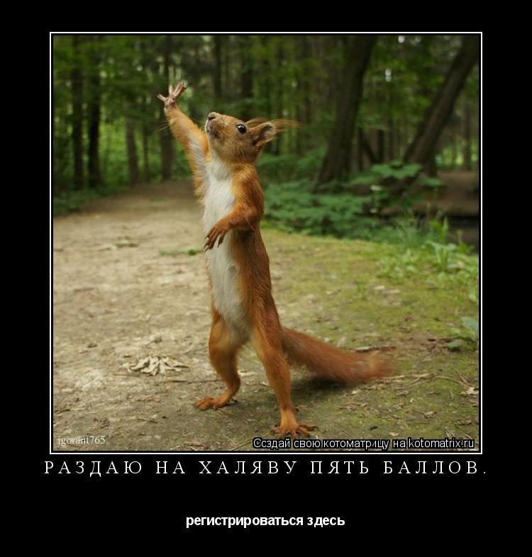Котоматрица: Раздаю на халяву пять баллов. регистрироваться здесь