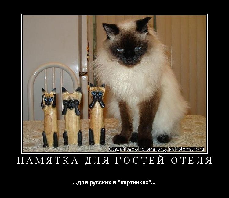 Котоматрица: памятка для гостей отеля ...для русских в "картинках"...