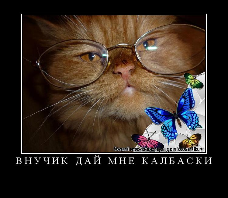 Котоматрица: внучик дай мне калбаски 