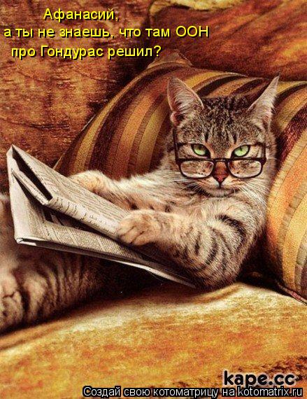 Котоматрица: Афанасий, а ты не знаешь, что там ООН  про Гондурас решил?