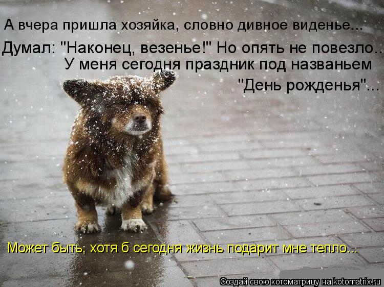 Котоматрица: Думал: "Наконец, везенье!" Но опять не повезло... У меня сегодня праздник под названьем  "День рожденья"... Может быть, хотя б сегодня жизнь пода