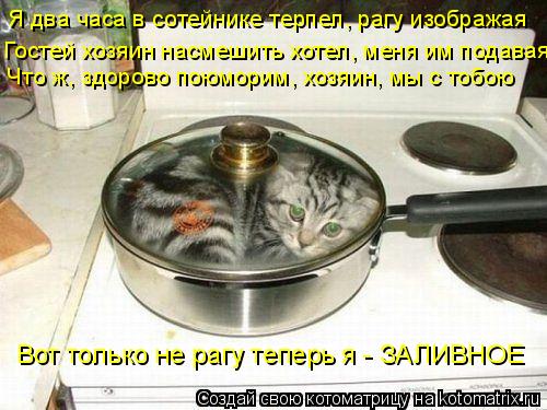 Котоматрица: Я два часа в сотейнике терпел, рагу изображая Что ж, здорово поюморим, хозяин, мы с тобою Вот только не рагу теперь я - ЗАЛИВНОЕ Гостей хозяин 