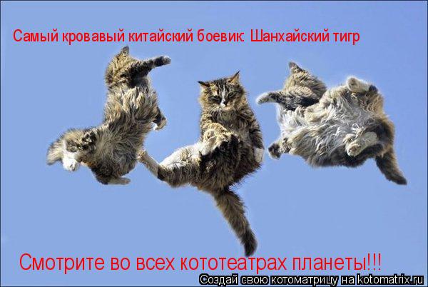 Котоматрица: Самый кровавый китайский боевик: Шанхайский тигр Смотрите во всех кототеатрах планеты!!!