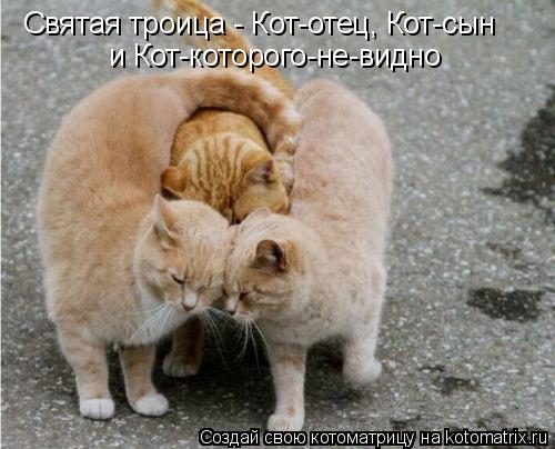 Святая троица - Кот-отец, Кот-сын и Кот-которого-не-видно... Котоматрица: Святая троица - Кот-отец, Кот-сын и Кот-которого-не-видно