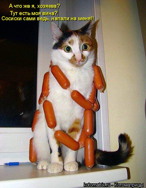 Котоматрица: Тут есть моя вина? А что же я, хозяева? Сосиски сами ведь, напали на меня!!