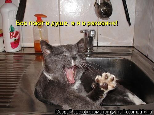 Котоматрица: Все поют в душе, а я в раковине!