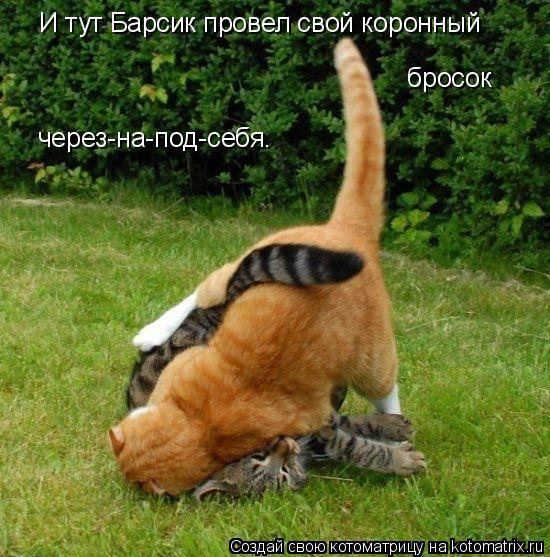 Котоматрица: И тут Барсик провел свой коронный бросок через-на-под-себя.