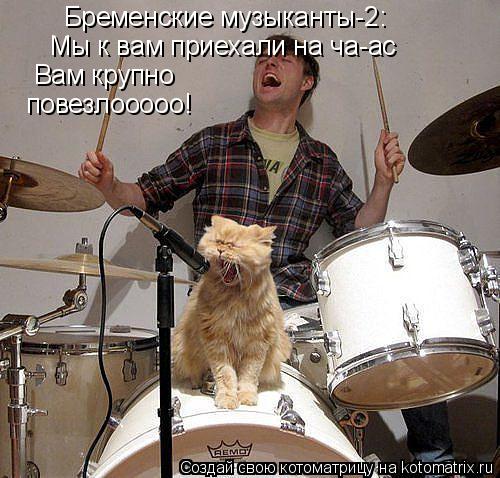 Котоматрица: Бременские музыканты-2: Мы к вам приехали на ча-ас Вам крупно  повезлооооо!