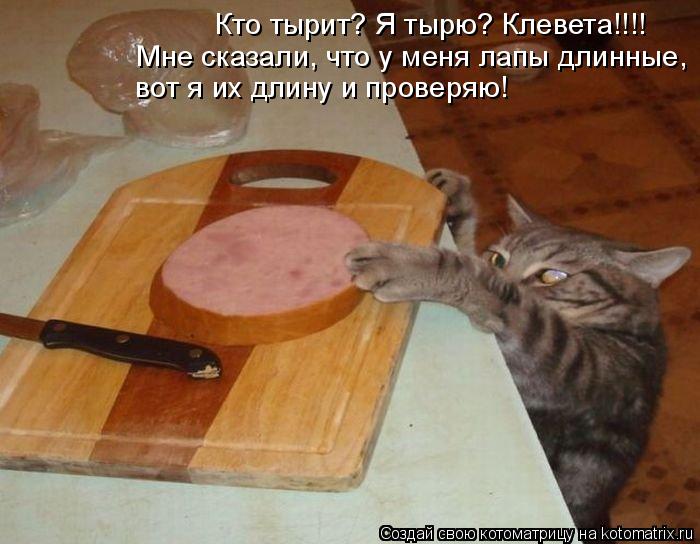 Котоматрица: Кто тырит? Я тырю? Клевета!!!! Мне сказали, что у меня лапы длинные, вот я их длину и проверяю!