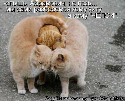 Котоматрица: -слышь, Абрамович, не лезь... мы сами разберемся кому яхту, а кому "ЧЕЛСИ"...