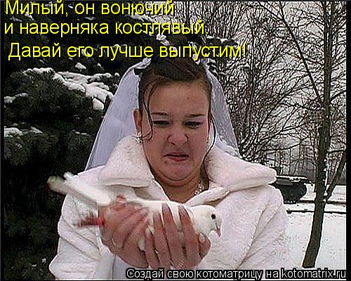 Котоматрица: Милый, он вонючий  и наверняка костлявый.  Давай его лучше выпустим!