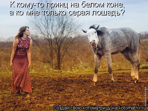 Котоматрица: К кому-то принц на белом коне, а ко мне только серая лошадь?