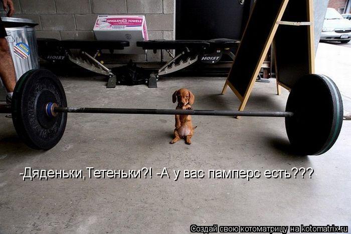 Котоматрица: -Дяденьки,Тетеньки?! -А у вас памперс есть???