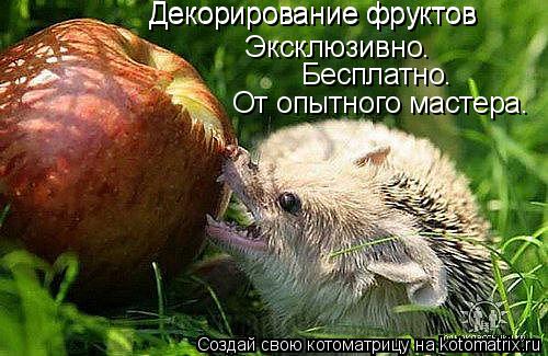 Котоматрица: Декорирование фруктов Декорирование фруктов Эксклюзивно.  Бесплатно. От опытного мастера.