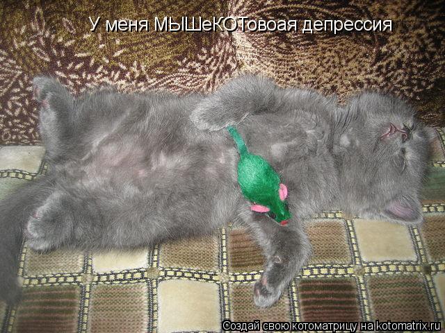 Котоматрица: У меня МЫШеКОТовоая депрессия