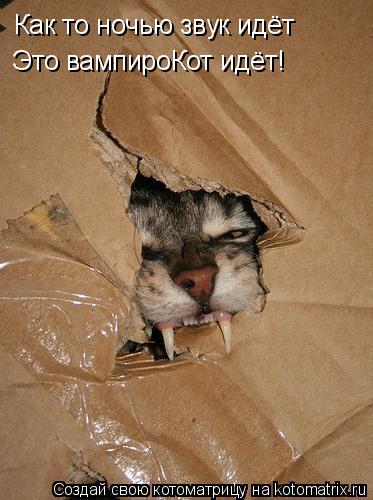 Котоматрица: Как то ночью звук идёт Это вампироКот идёт!