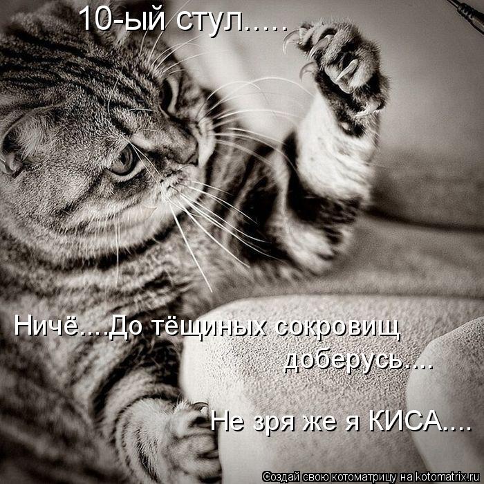Котоматрица: 10-ый стул..... Ничё....До тёщиных сокровищ доберусь.... Не зря же я КИСА....