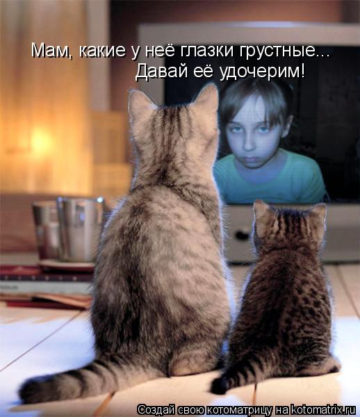 Котоматрица: Мам, какие у неё глазки грустные... Давай её удочерим!