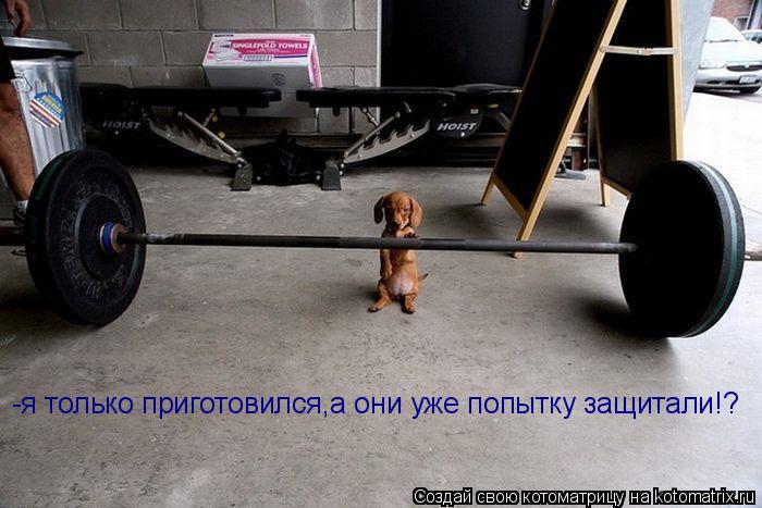 Котоматрица: -я только приготовился,а они уже попытку защитали!?
