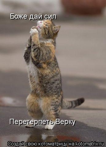 Котоматрица: Боже дай сил Перетерпеть Верку