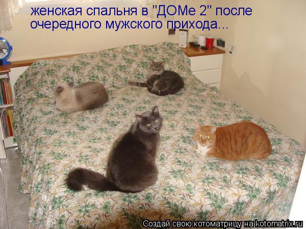 Котоматрица: женская спальня в "ДОМе 2" после  очередного мужского прихода...