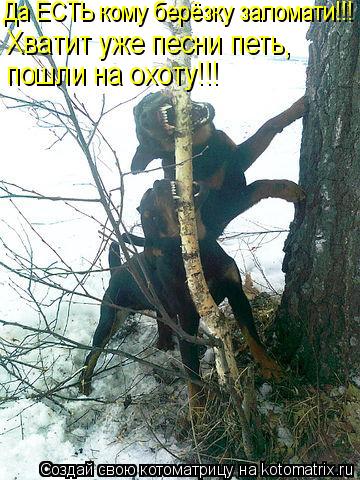 Котоматрица: Да ЕСТЬ кому берёзку заломати!!!  Хватит уже песни петь,  пошли на охоту!!!