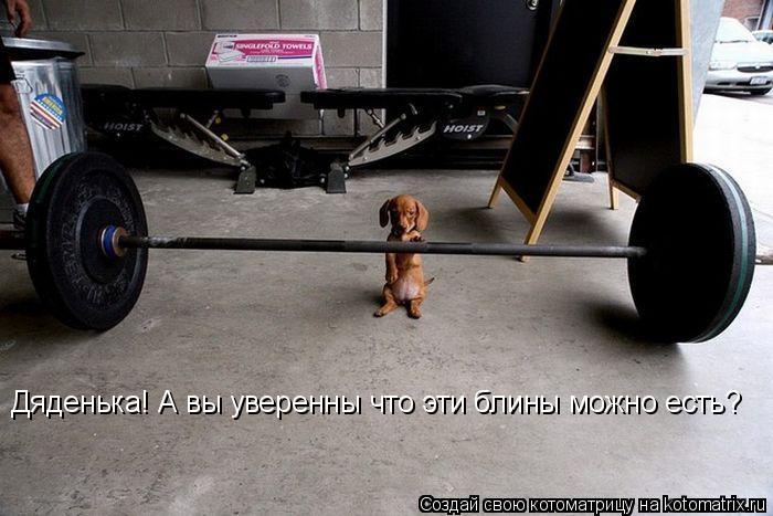 Дяденька! А вы уверенны что эти блины можно есть?... Котоматрица: Дяденька! А вы уверенны что эти блины можно есть?