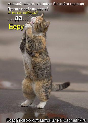 Молодой человек вы знаете Я хозяйка хорошая Пустите к себе почивать? -А мытся любишь? ....да... Беру... Котоматрица: Молодой человек вы знаете Я хозяйка хорошая Пустите к себе почивать? -А мытся любишь? ....да... Беру