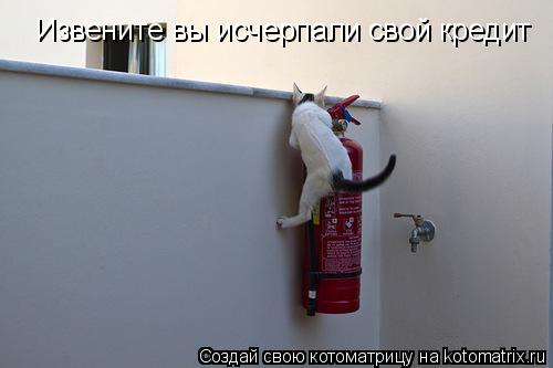Извените вы исчерпали свой кредит... Котоматрица: Извените вы исчерпали свой кредит