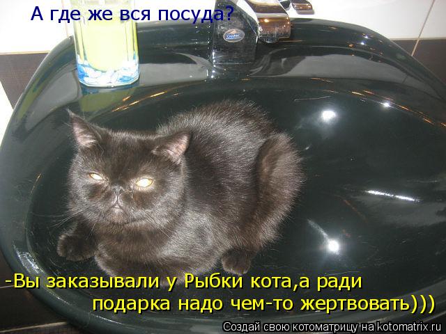 А где же вся посуда? -Вы заказывали у Рыбки кота,а ради подарка надо чем-то жертвовать)))... Котоматрица: А где же вся посуда? -Вы заказывали у Рыбки кота,а ради подарка надо чем-то жертвовать)))