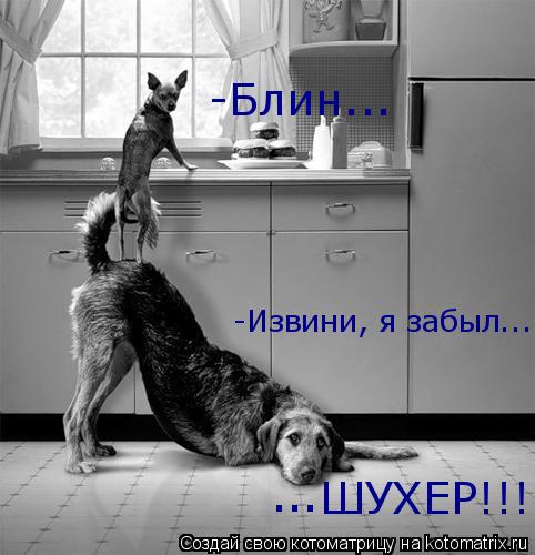 -Блин... -Извини, я забыл... ШУХЕР!!! ...... Котоматрица: -Блин... -Извини, я забыл... ШУХЕР!!! ...