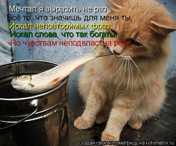 Мечтал я выразить не раз Всё то, что значишь для меня ты, Искал неповторимых фраз, Искал слова, что т... Котоматрица: Мечтал я выразить не раз Всё то, что значишь для меня ты, Искал неповторимых фраз, Искал слова, что так богаты. Но чувствам неподвластна речь,