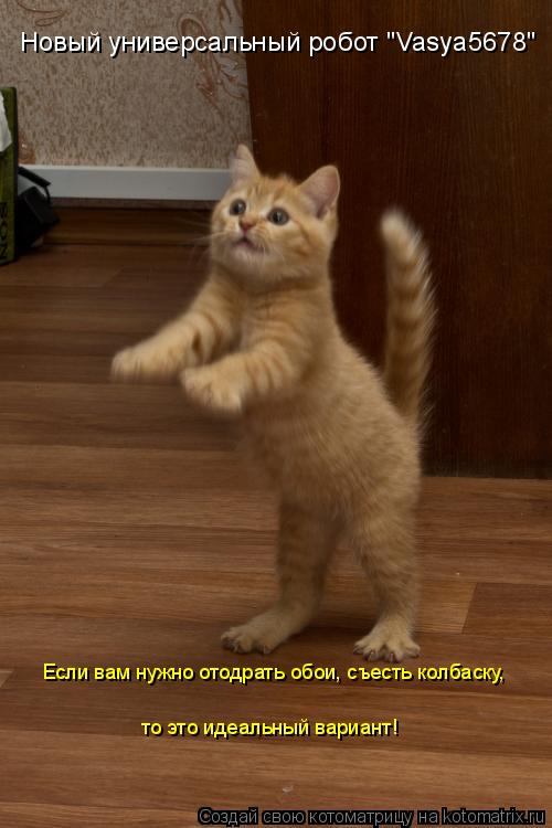 Новый универсальный робот "Vasya5678" Если вам нужно отодрать обои, съесть колбаску, то это идеальны... Котоматрица: Новый универсальный робот "Vasya5678" Если вам нужно отодрать обои, съесть колбаску, то это идеальный вариант!