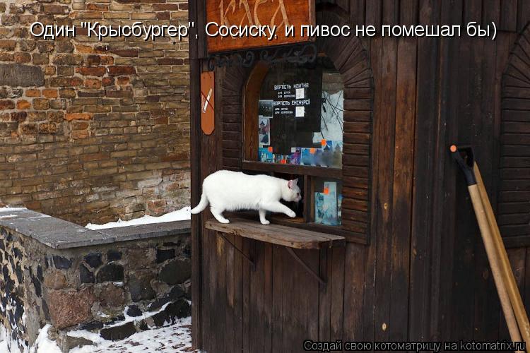 Один "Крысбургер", Сосиску, и пивос не помешал бы) Один "Крысбургер", Сосиску, и пивос не помешал бы)... Котоматрица: Один "Крысбургер", Сосиску, и пивос не помешал бы) Один "Крысбургер", Сосиску, и пивос не помешал бы)