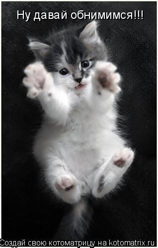 Котоматрица: Ну давай обнимимся!!!