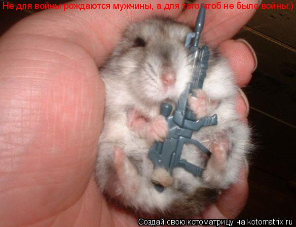 Котоматрица: Не для войны рождаются мужчины, а для того чтоб не было войны:)