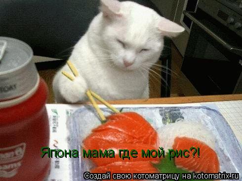 Котоматрица: Япона мама где мой рис?!