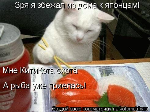 Котоматрица: Зря я збежал из дома к японцам! Зря я збежал из дома к японцам! Мне КитиКэта охота А рыба уже приелась!