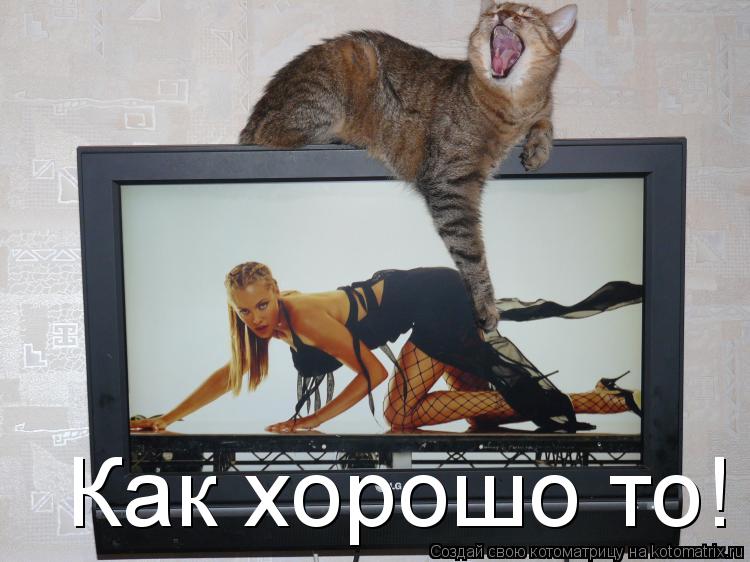 Котоматрица: Как хорошо то!