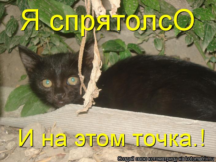 Котоматрица: Я спрятолсО И на этом точка.!