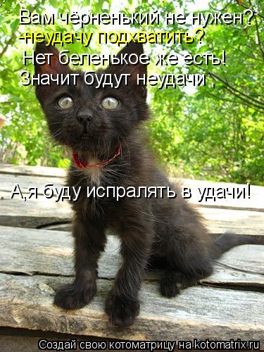 Котоматрица: Вам чёрненький не нужен? -неудачу подхватить? Нет беленькое же есть! Значит будут неудачи , А,я буду испралять в удачи!