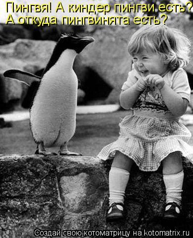 Котоматрица: Пингвя! А киндер пингви есть? А откуда пингвинята есть?