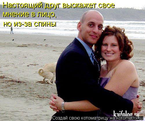 Котоматрица: Настоящий друг выскажет свое  мнение в лицо,  но из-за спины